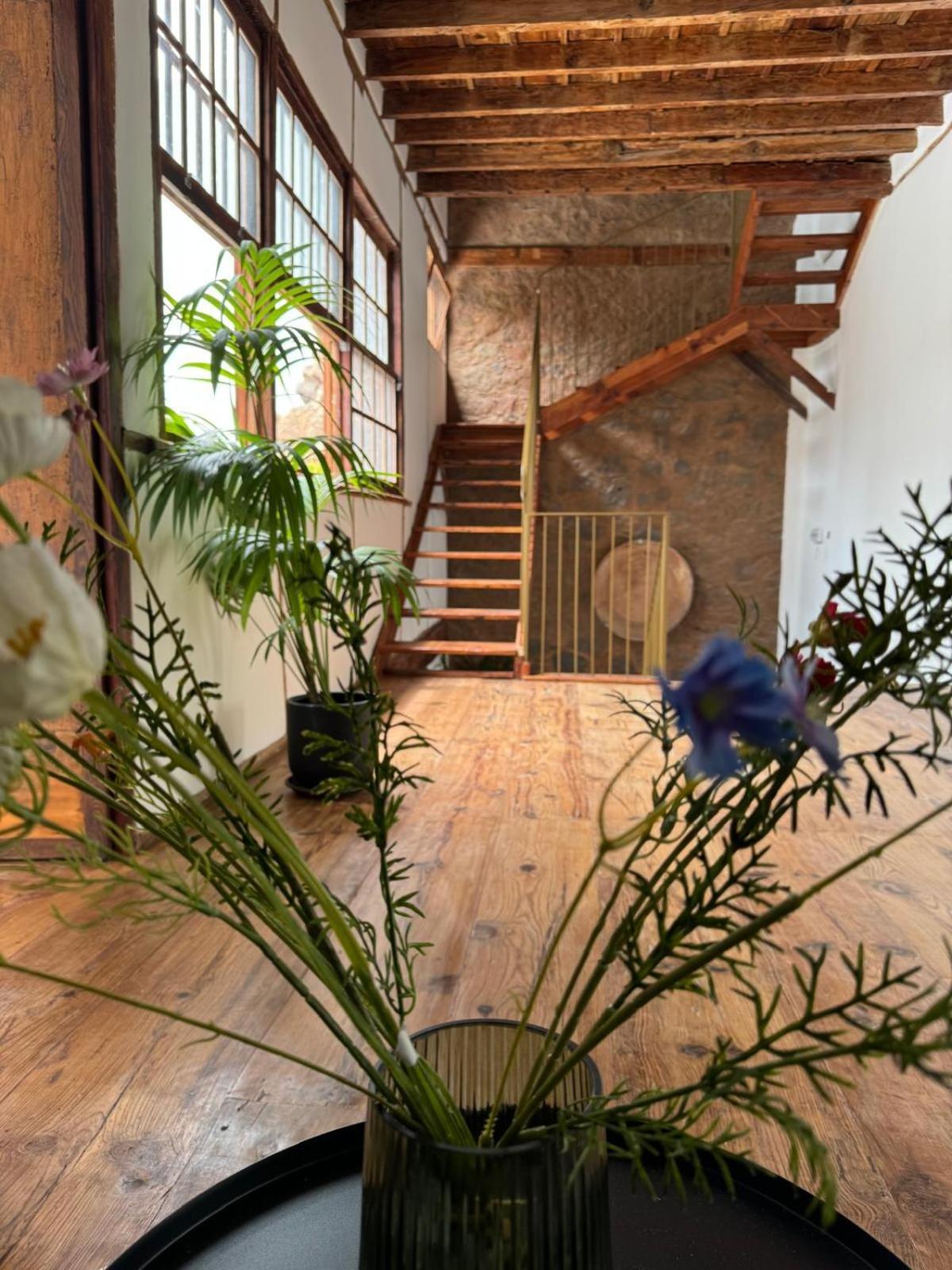 Laguna Cool Living 拉拉古纳 外观 照片